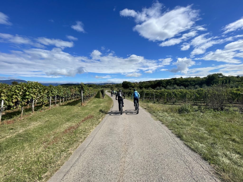 Gemakkelijk fietsen door de wijngaarden